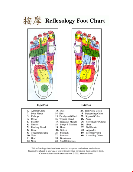 Foot Reflexology Chart Printable Template