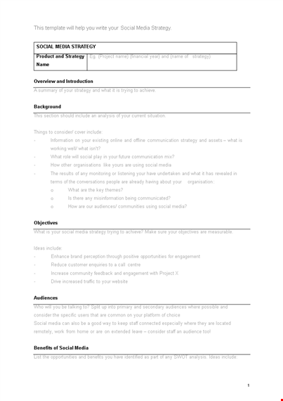 social media strategy template in word template