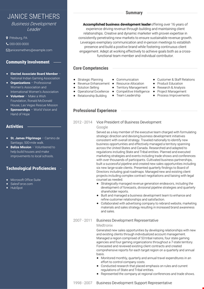 retail business development resume template