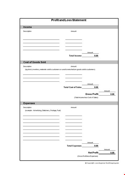 profit and loss statement: total income and description of amounts template