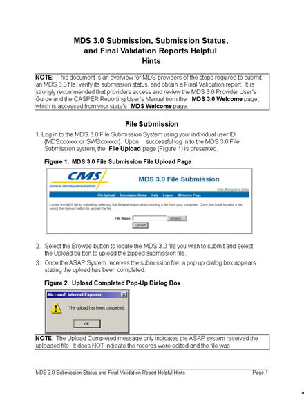 final validation report - complete validation and submission process template