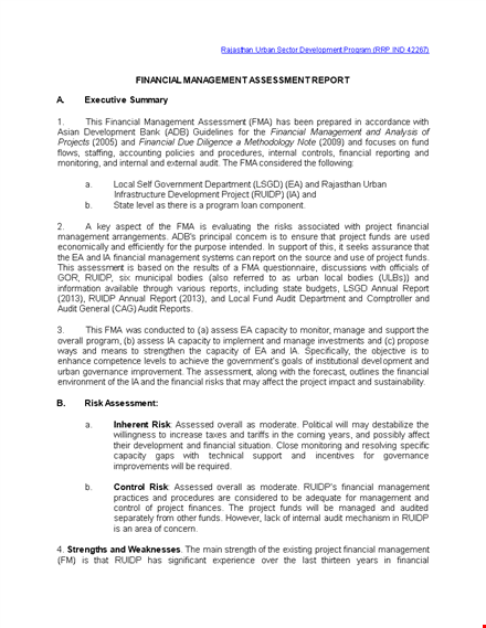 company and financial assessment template