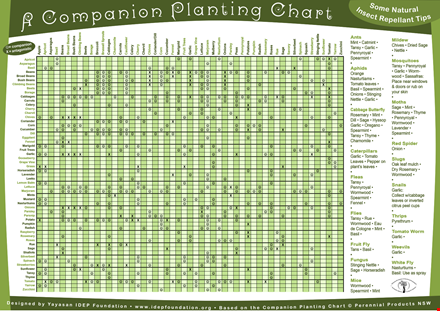 printable companion planting chart template