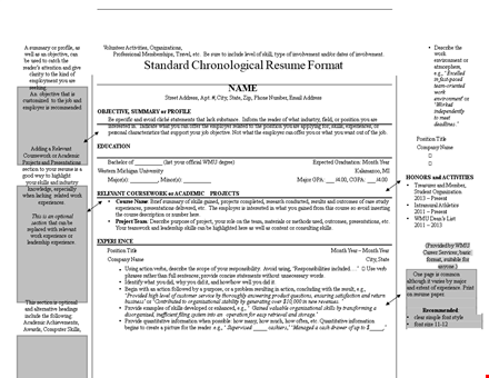 standard chronological resume format template