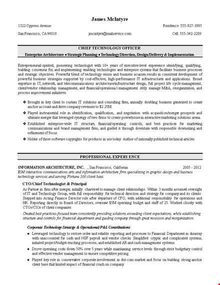 it executive resume example: management, client systems development & technology template