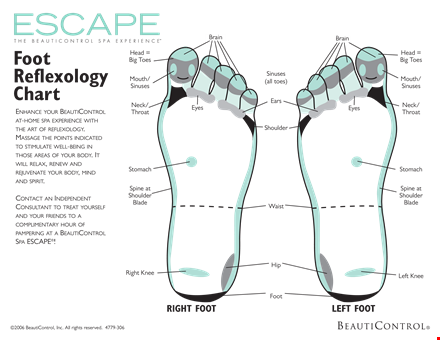 explore the benefits of foot reflexology chart | beauticontrol, sinuses template