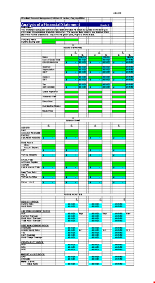 management financial statement analysis example template