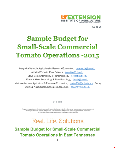 commercial production budget template template