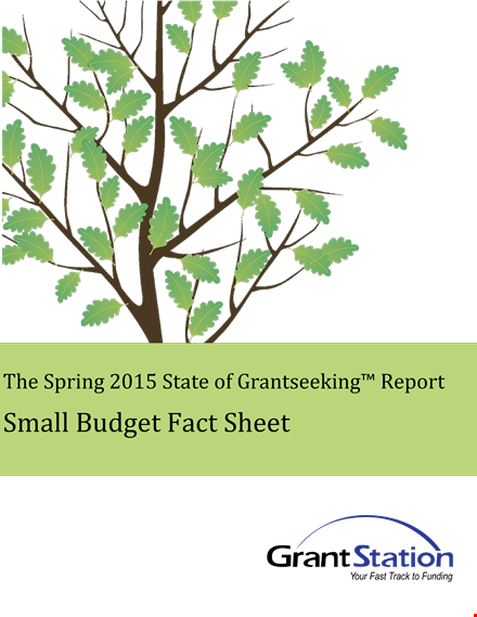 small business annual budget template template