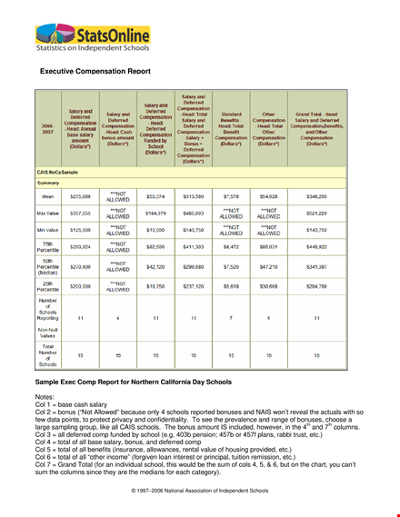 executive compensation template