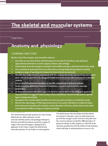 skeletal muscle chart - joint, muscles, movement | discover the anatomy of muscles template