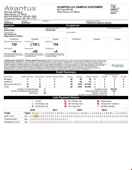 merged credit report template template