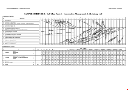 management schedule template