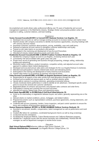 senior account executive resume template